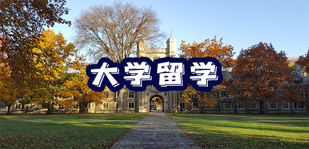 大学留学