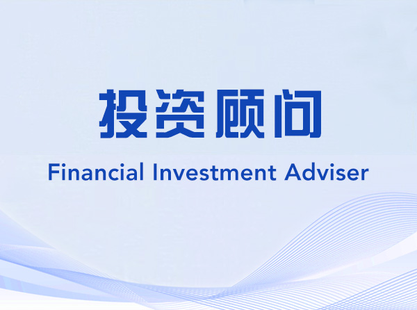Financial Investment Adviser-222311-投资顾问